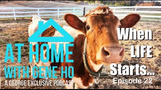 When Life Starts-The Struggle is Real | At Home with Gene Ho, Episode 22