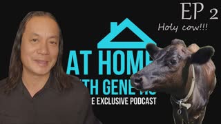 Moo Out of the Way, We're Taking a Test - At Home with Gene Ho - Episode 2