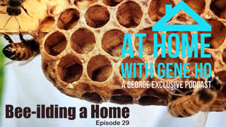 Bee-ilding a Home | At Home with Gene Ho, Episode 29